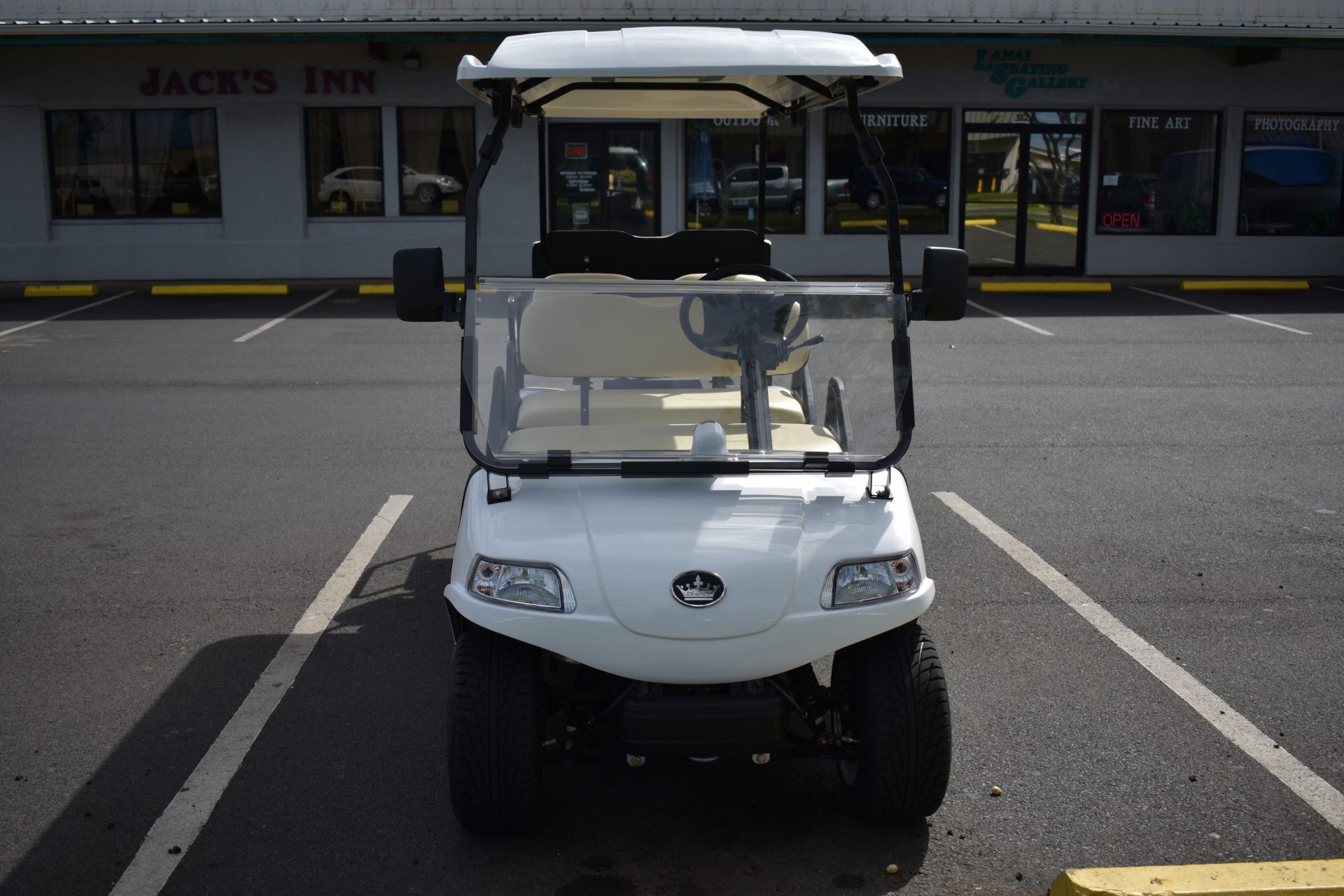 2019 Six Passenger Evolution Golf Cart Golf Cart Maui