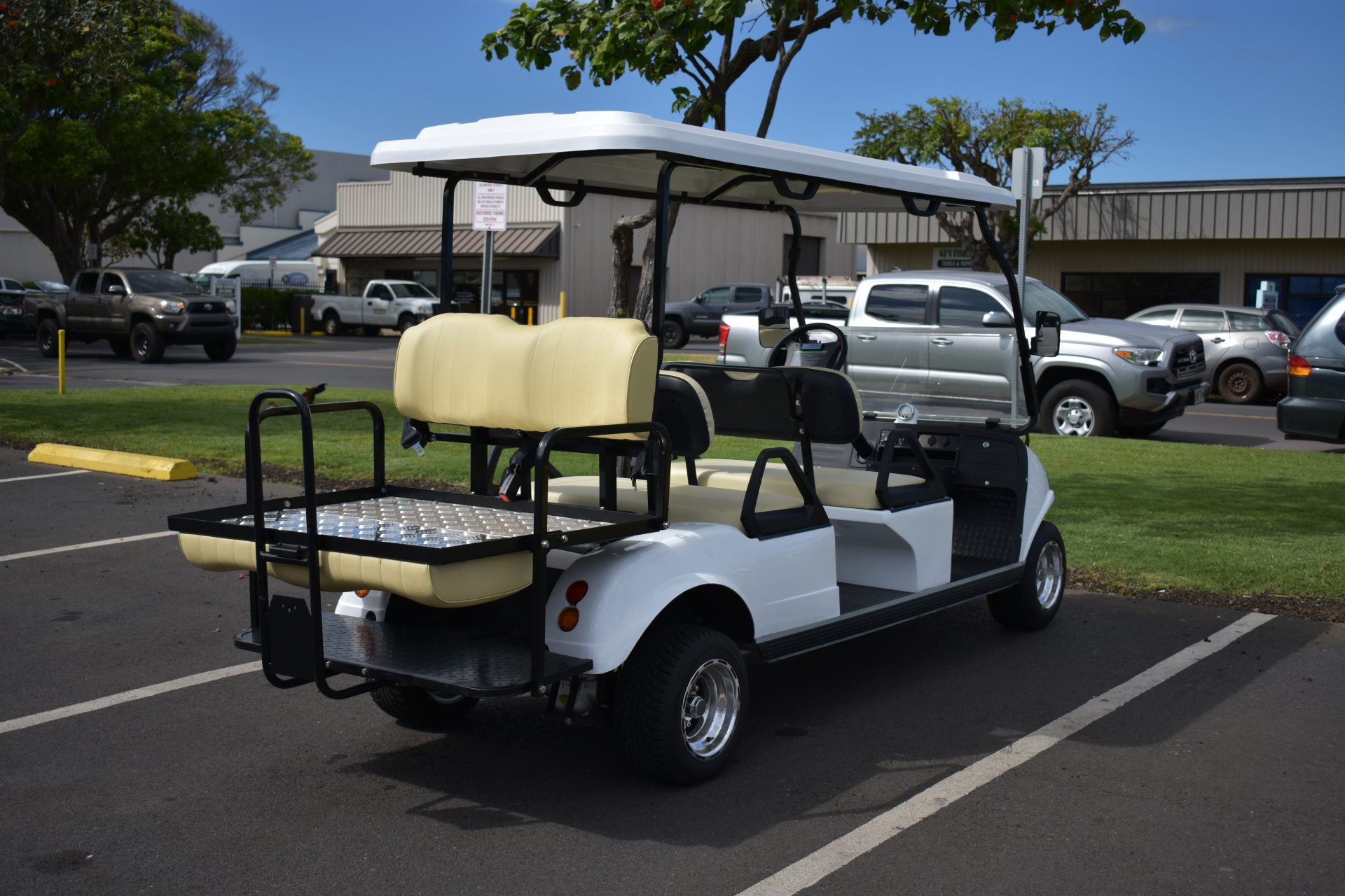 2019 Six Passenger Evolution Golf Cart Golf Cart Maui